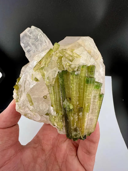Green Tourmaline Bunch on Quartz from Skardu Pakistan - 650 Grams