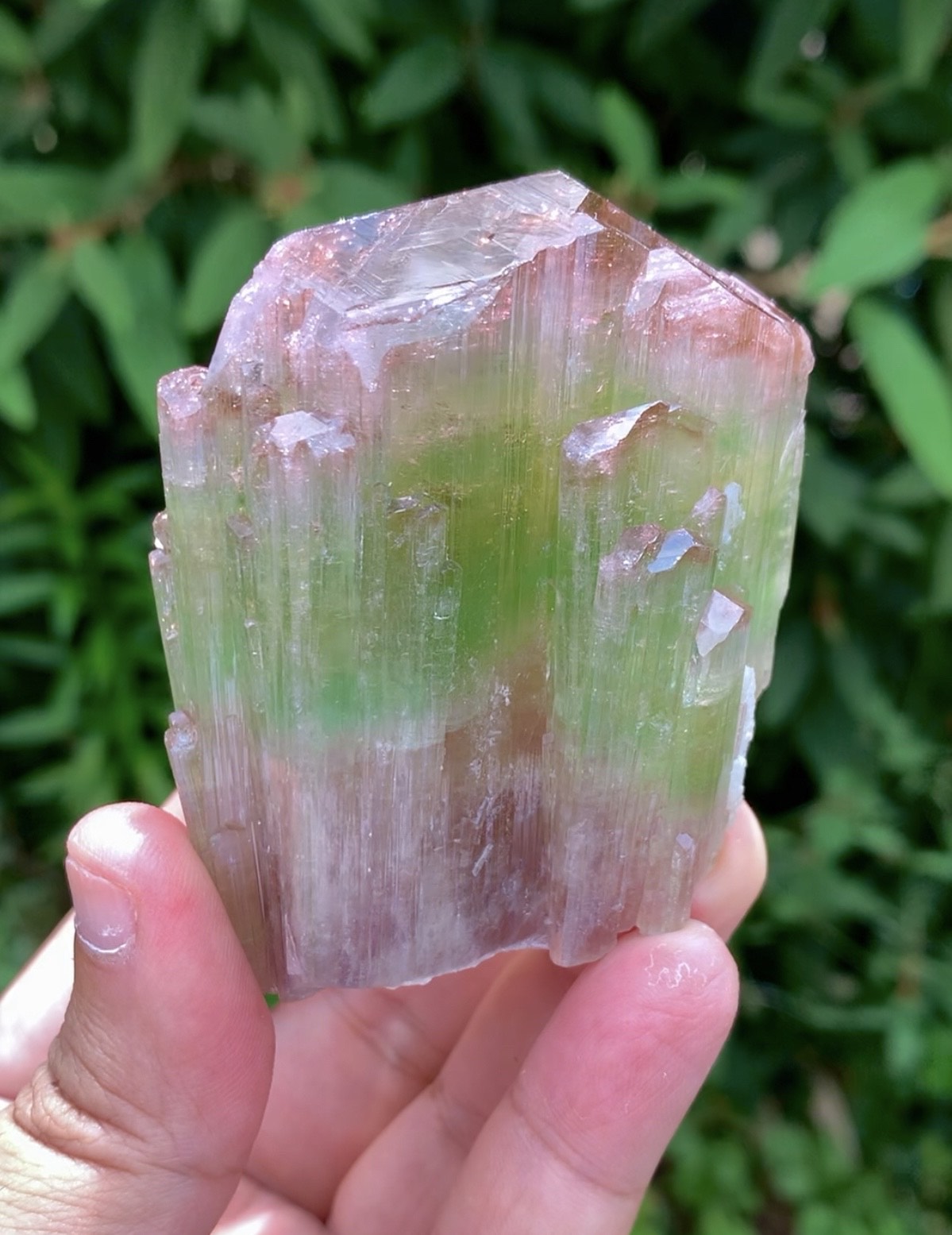 Natual Bicolor Tourmaline Crystal from Paprok Afghanistan - 236 gram