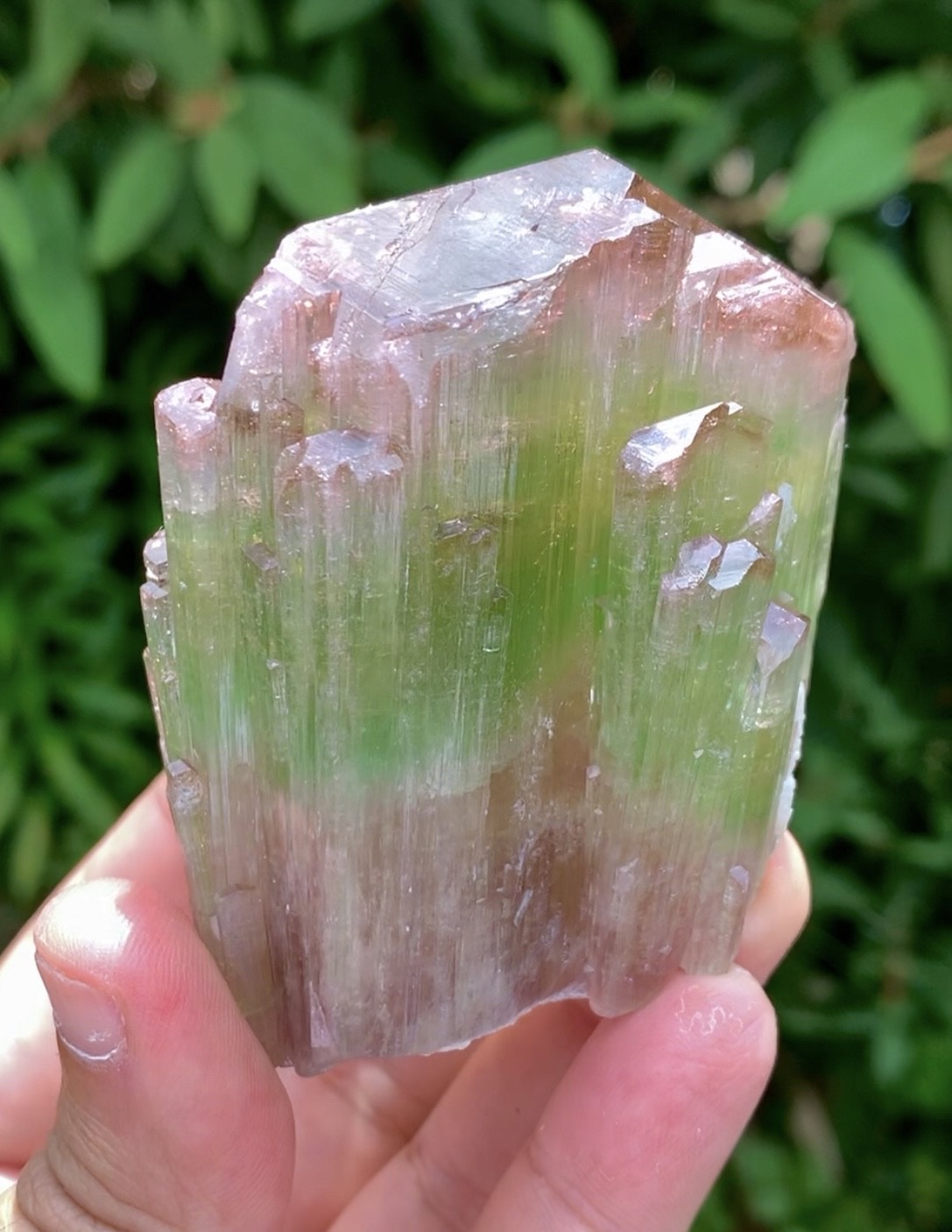 Natual Bicolor Tourmaline Crystal from Paprok Afghanistan - 236 gram