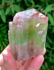 Natual Bicolor Tourmaline Crystal from Paprok Afghanistan - 236 gram