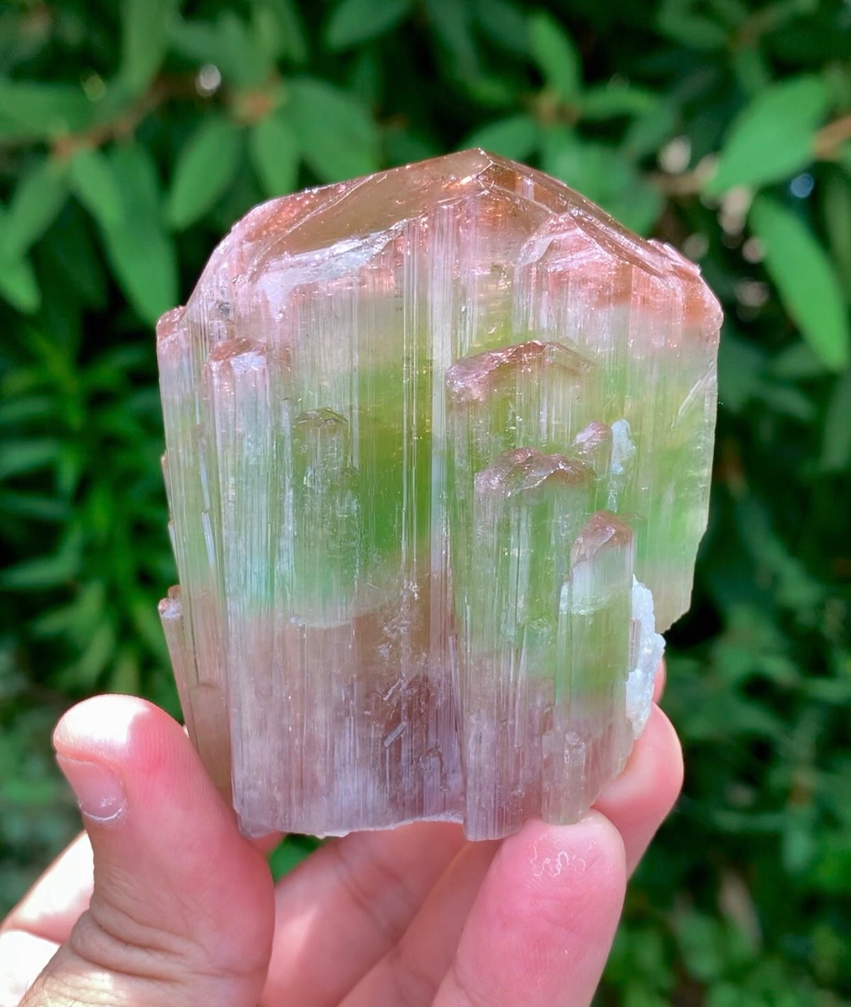 Natual Bicolor Tourmaline Crystal from Paprok Afghanistan - 236 gram