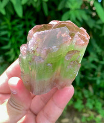 Natual Bicolor Tourmaline Crystal from Paprok Afghanistan - 236 gram