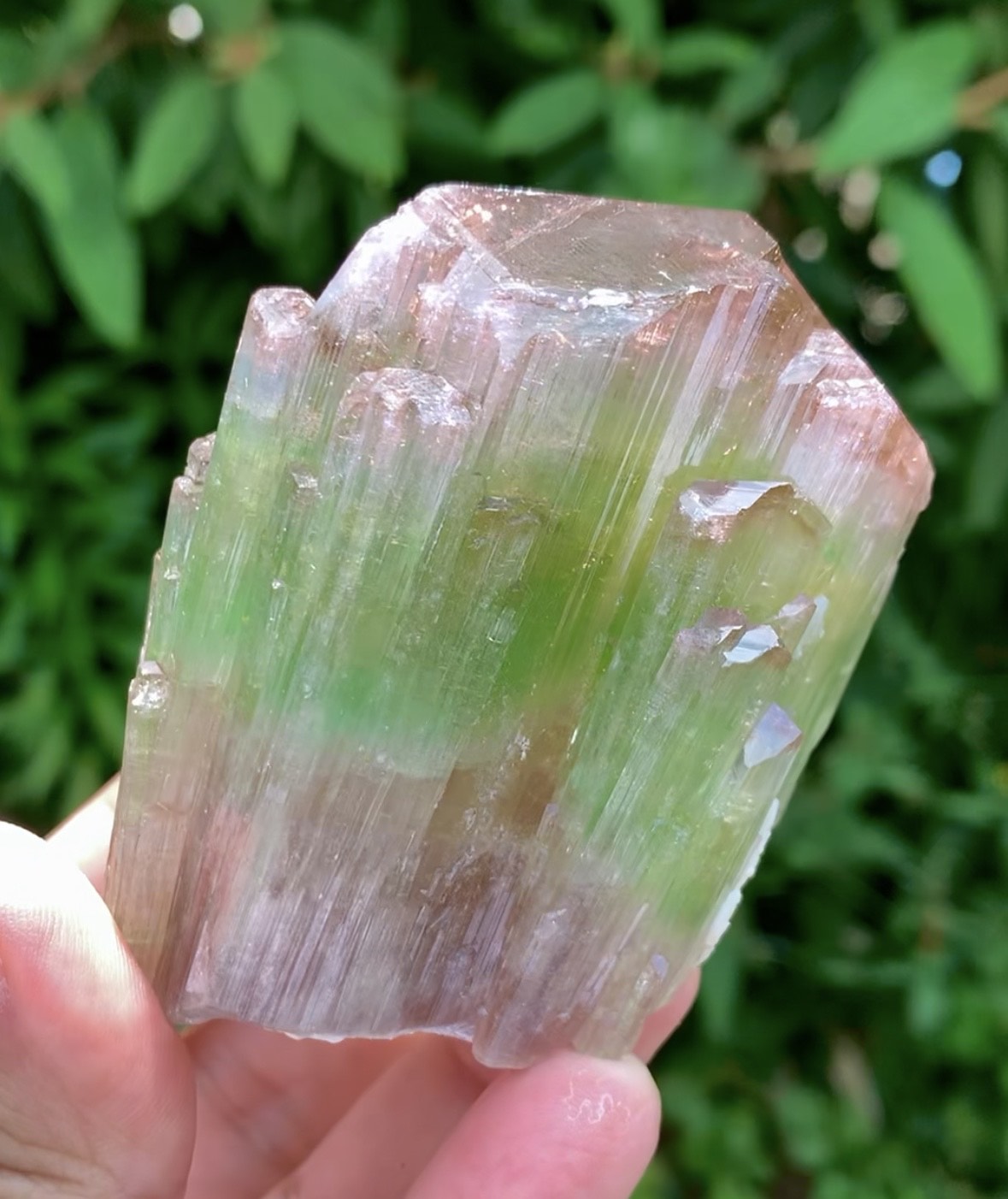 Natual Bicolor Tourmaline Crystal from Paprok Afghanistan - 236 gram