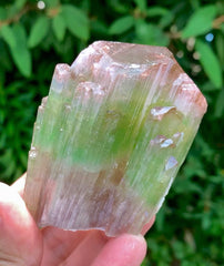 Natual Bicolor Tourmaline Crystal from Paprok Afghanistan - 236 gram