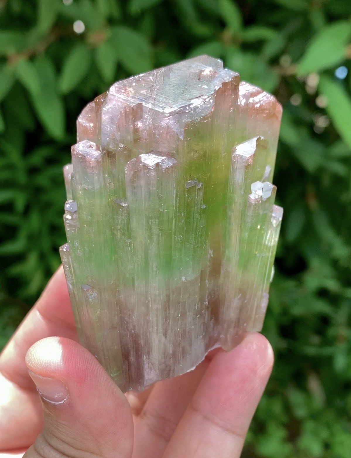 Natual Bicolor Tourmaline Crystal from Paprok Afghanistan - 236 gram