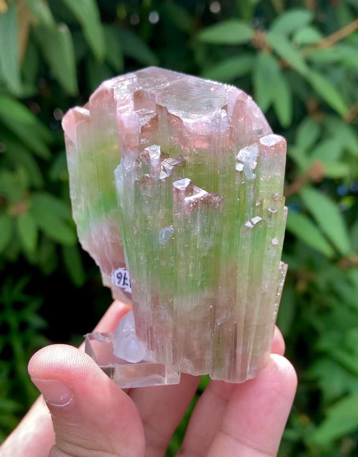 Natual Bicolor Tourmaline Crystal from Paprok Afghanistan - 236 gram