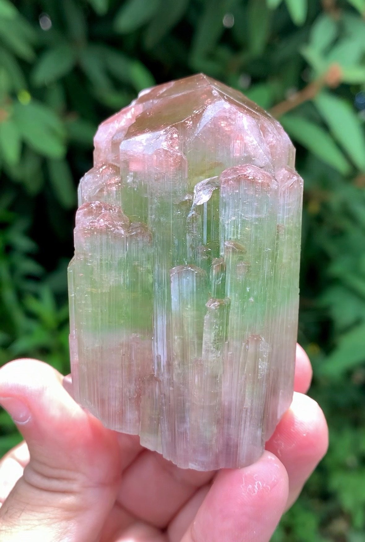 Natual Bicolor Tourmaline Crystal from Paprok Afghanistan - 236 gram