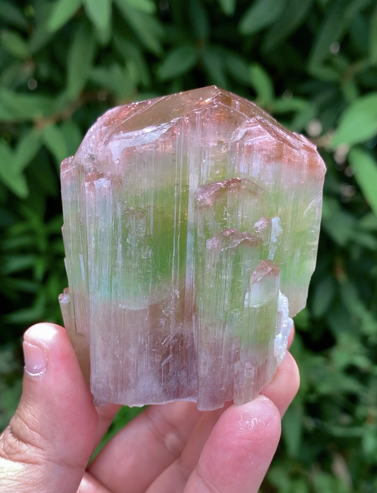 Natual Bicolor Tourmaline Crystal from Paprok Afghanistan - 236 gram