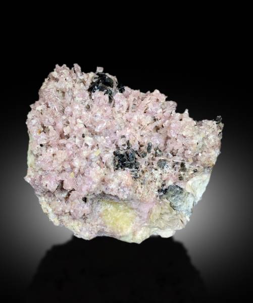 tourmaline quartz herderite mineral specimen
museum grade pink tourmaline cluster pakistan