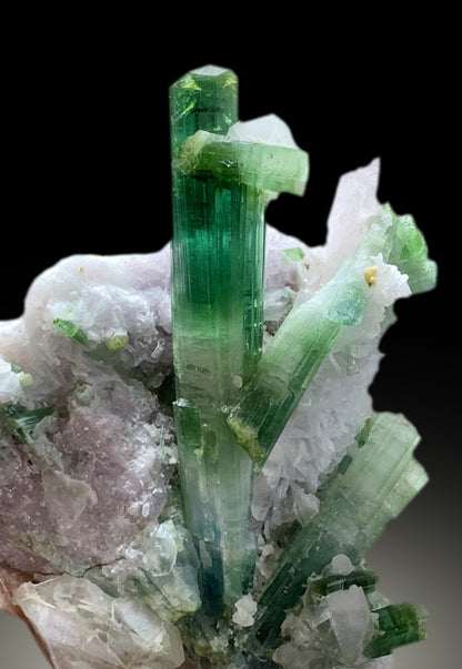 premium collector tourmaline specimen
natural blue green tourmaline crystal formation
museum quality Afghanistan mineral specimen