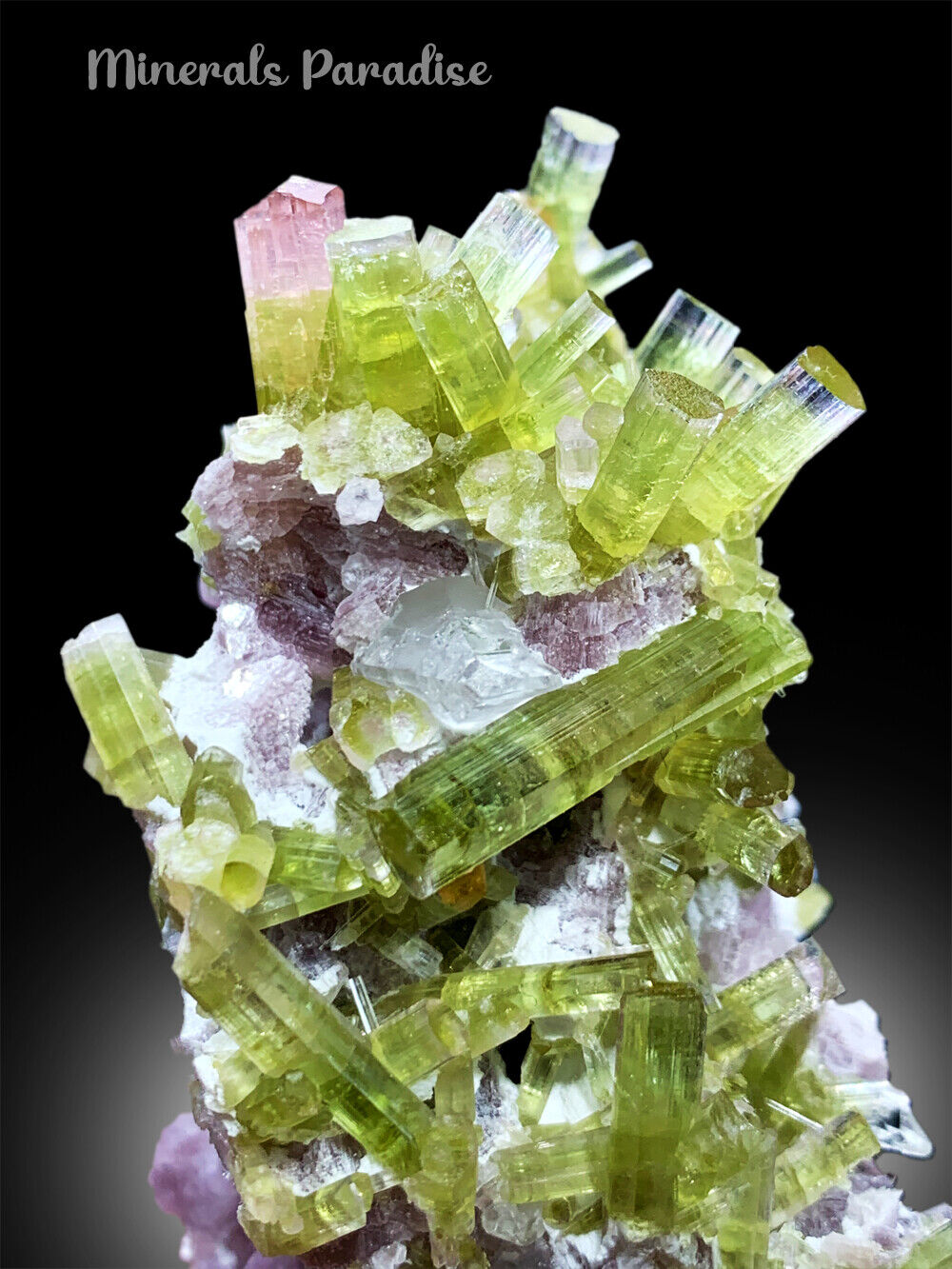 natural lepidolite with watermelon tourmaline crystals
fine mineral display with multicolor tourmaline cluster