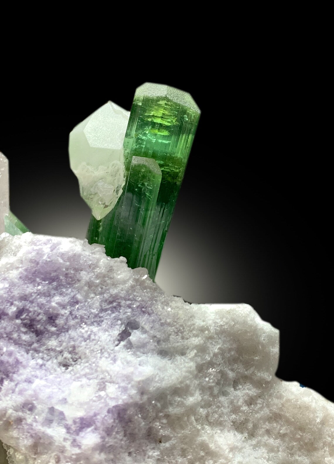 cabinet display tourmaline and kunzite mineral
natural Afghanistan pegmatite mineral specimen