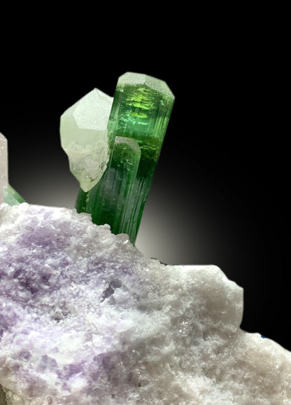 cabinet display tourmaline and kunzite mineral
natural Afghanistan pegmatite mineral specimen