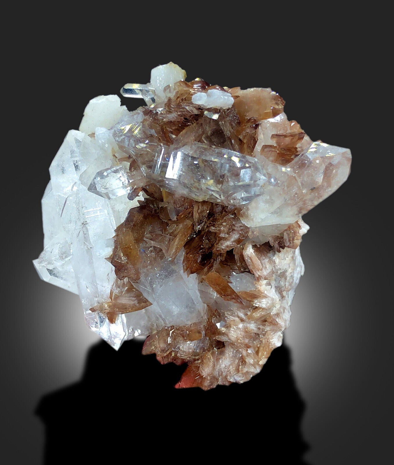 natural Axinite and quartz crystal formation
collector Axinite display specimen
