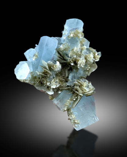 premium aquamarine collector specimen
blue beryl crystal cluster on matrix
untreated aquamarine mineral specimen