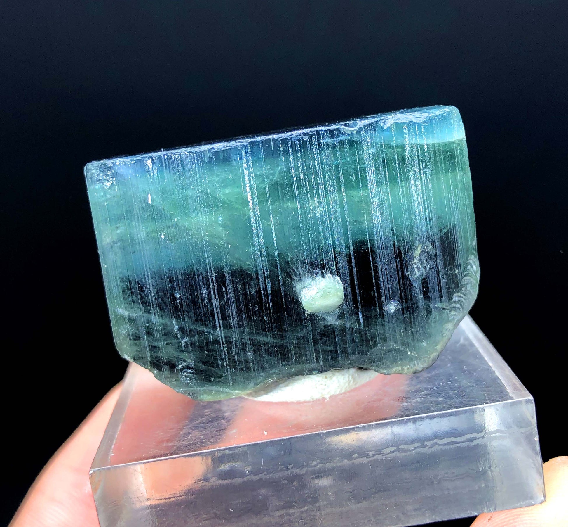 natural blue cap tourmaline crystal
collector grade tourmaline specimen
raw tourmaline crystal from Afghanistan
