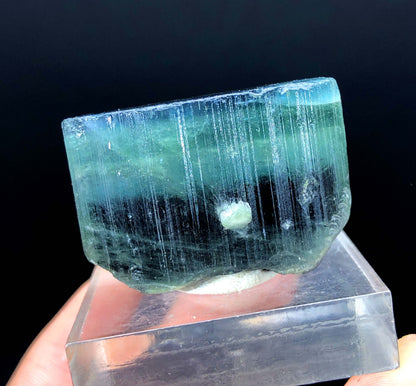 natural blue cap tourmaline crystal
collector grade tourmaline specimen
raw tourmaline crystal from Afghanistan