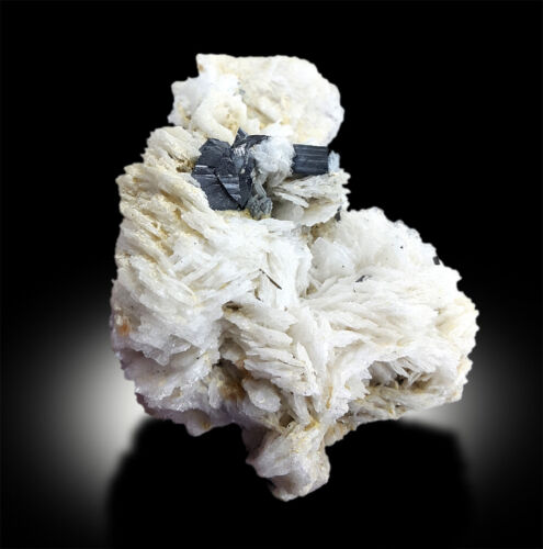 cassiterite crystals on albite specimen pakistan
natural cassiterite crystal on white albite matrix