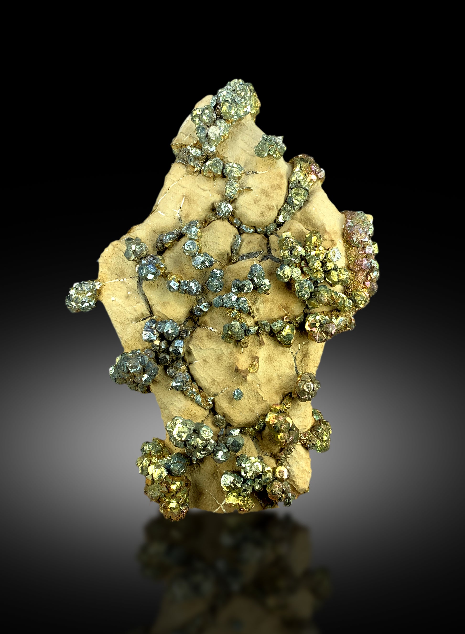 premium rainbow pyrite collector specimen
display quality pyrite mineral
natural iridescent pyrite formation