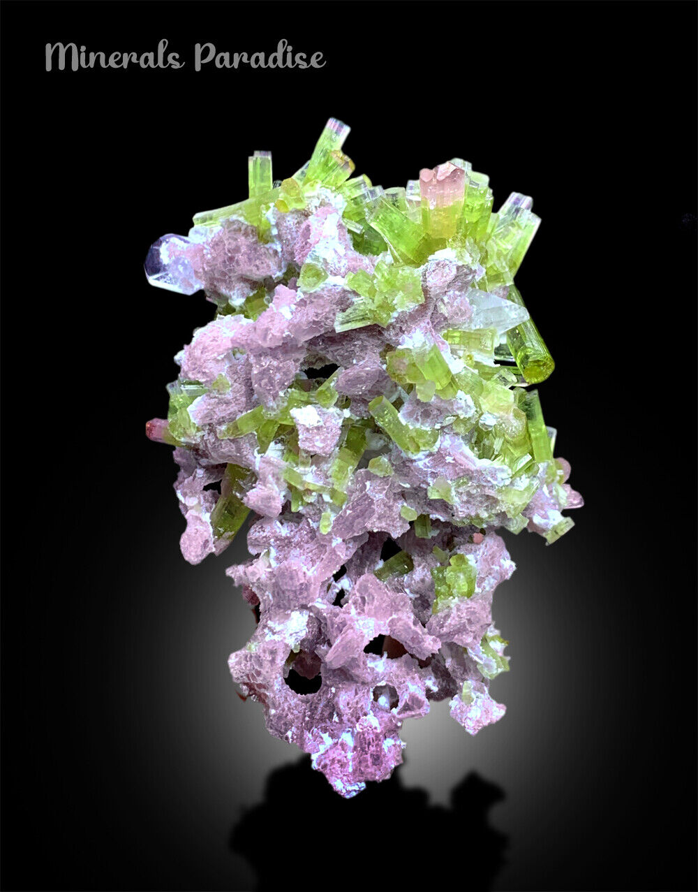 natural pink and green tourmaline crystal cluster
cabinet display watermelon tourmaline specimen