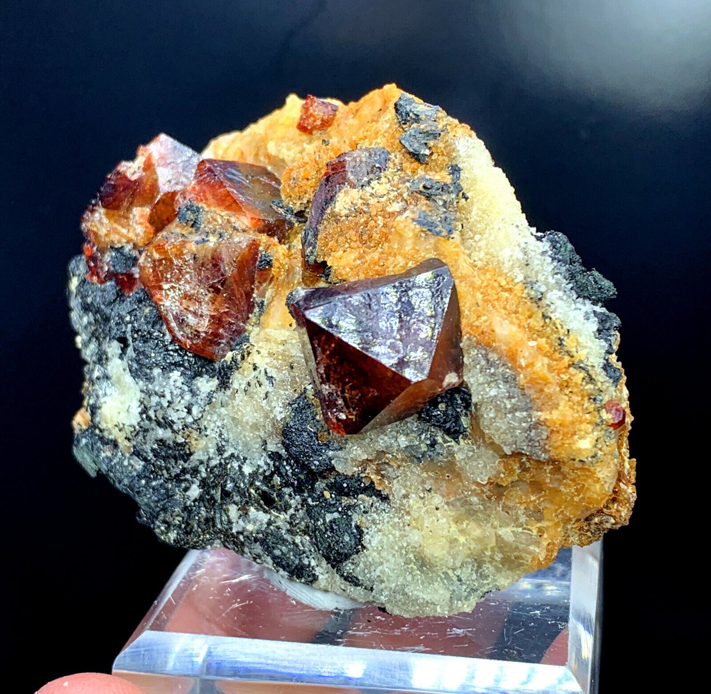 collector mineral specimen with red zircon crystals
aesthetic zircon crystal arrangement on matrix