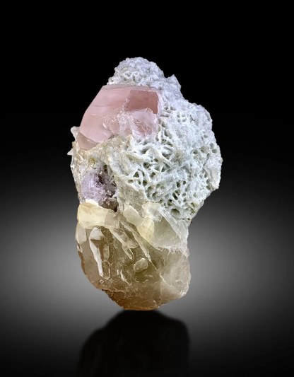 pink morganite crystal on matrix
fine mineral collector specimen