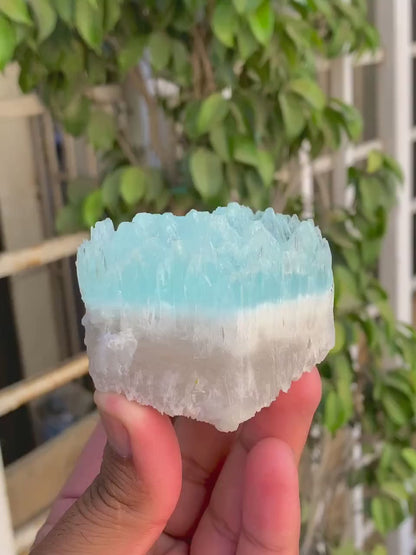 Bicolor Beryl, AquaMorganite with Feldspar, Morganite var Aquamarine with Etched Terminations - 196 gram