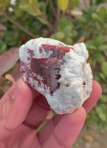 Natural Red Color Tantalite Cluster with Albite, Tantalite Specimen, Raw Mineral, Tantalite from Kunar, Afghanistan - 178 gram