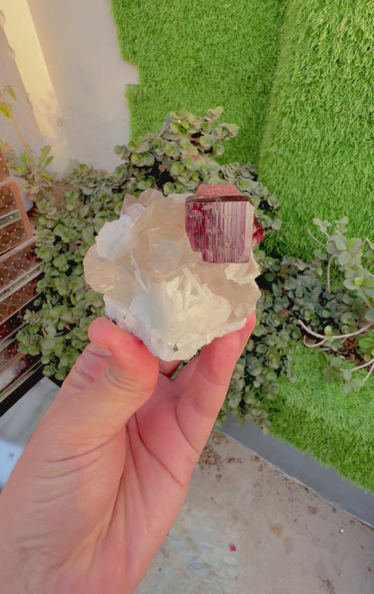 Tantalite, Indicolite Tourmaline, Morganite, Quartz and albite from Afghanistan, 244 gram