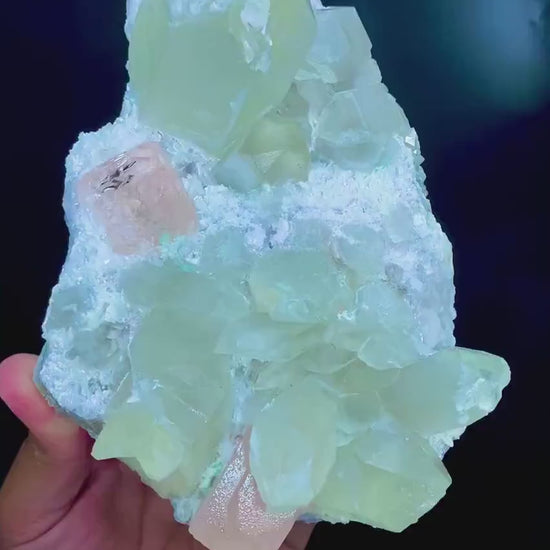 pink morganite crystals with quartz
natural morganite specimen Afghanistan