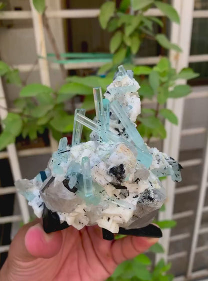 Aquamarine Crystals with Schorl, Quartz and Feldspar from Shigar valley Skardu Pakistan - 515 gram