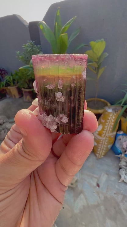 Tourmaline crystal with Lepidolite from Afghanistan, 55 gram