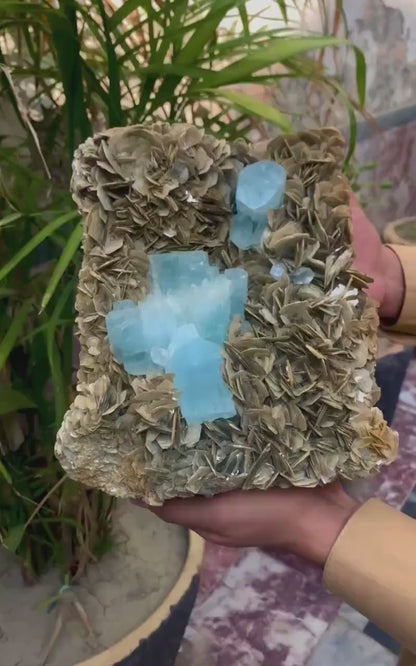 Museum Grade Aquamarine Specimen | Aquamarine Crystals Cluster | Aquamarine stone | Aquamarine for sale | Mineral Specimen | Muscovite Mica- 7.5 kg
