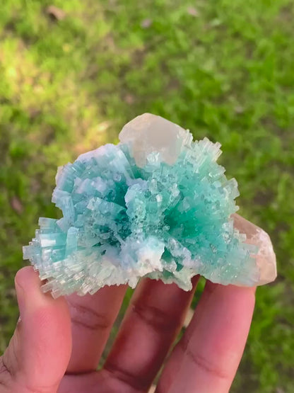 Paraiba Like Color Tourmalines Crystals Cluster on Quartz, Tourmaline Specimen, Raw Mineral, Tourmaline from Laghman Afghanistan - 171 gram