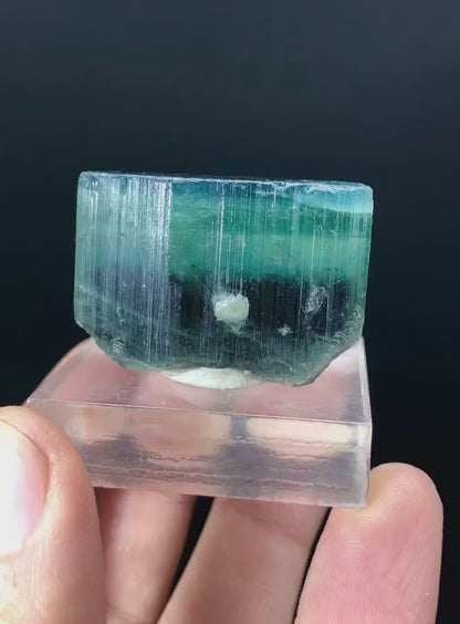 Natural Blue Cap Tourmaline Crystal, Terminated Tourmaline, Raw Tourmaline Stone, Tourmaline from Paproke Afghanistan - 39 gram