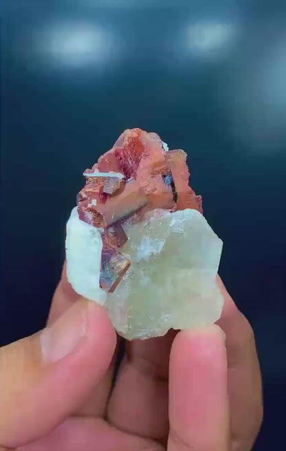 Tantalite Crystals on Quartz, Red Tantalite Specimen, Tantalite Crystals Cluster, Rare Mineral, Rare Crystal, Rare stone, Raw Crystals, 66 g