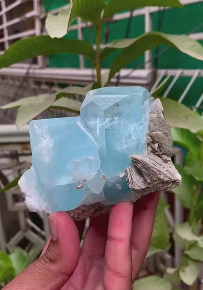 Aquamarine Specimen, Aquamarine Crystals on Muscovite Mica, Natural Aquamarine, Aquamarine for sale, Mineral Specimen, Raw Gemstone, 806 g