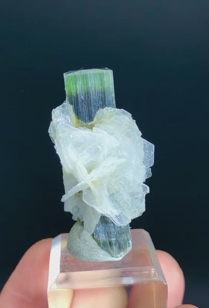 Natural Green Cap Tourmaline with Cleavelandite Albite, Tourmaline Specimen, Tourmaline from Astak Nala Mine Skardu Pakistan - 14 gram