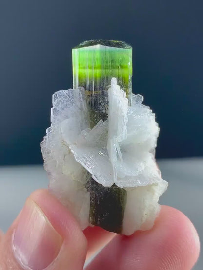 Natural Green Cap Tourmaline with Cleavelandite Albite, Tourmaline Specimen, Tourmaline from Astak Nala Mine Skardu Pakistan - 13 gram