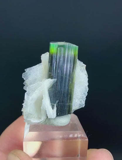 Natural Green Cap Tourmaline with Cleavelandite Albite, Tourmaline Specimen, Tourmaline from Astak Nala Mine Skardu Pakistan - 13 gram