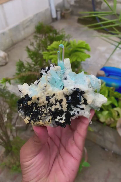 Aquamarine Crystals, Tourmaline Specimen, Aquamarine Specimen, Aquamarines with Schorl, Top Grade Aquamarine Specimen from Skardu, 601g