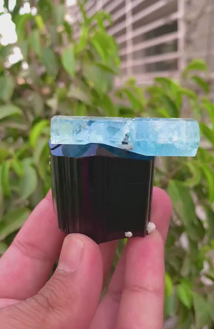 Aquamarine Crystals on Tourmaline Schorl, Aquamarine specimen, Schorl Crystal, Tourmaline stone, Aquamarine crystal from Afghanistan, 153 g