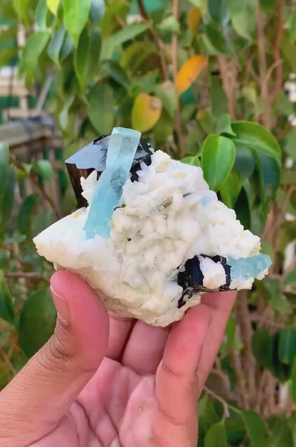 Aquamarine With Schorl Tourmaline and Albite From Afghanistan - 491 gram
