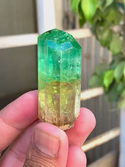 Natural Bicolor Tourmaline Crystal from Congo - 71 gram
