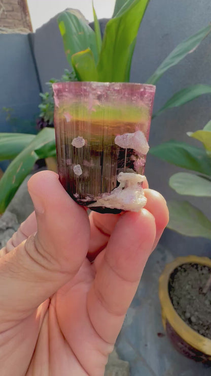 Tourmaline crystal with Lepidolite from Afghanistan, 55 gram