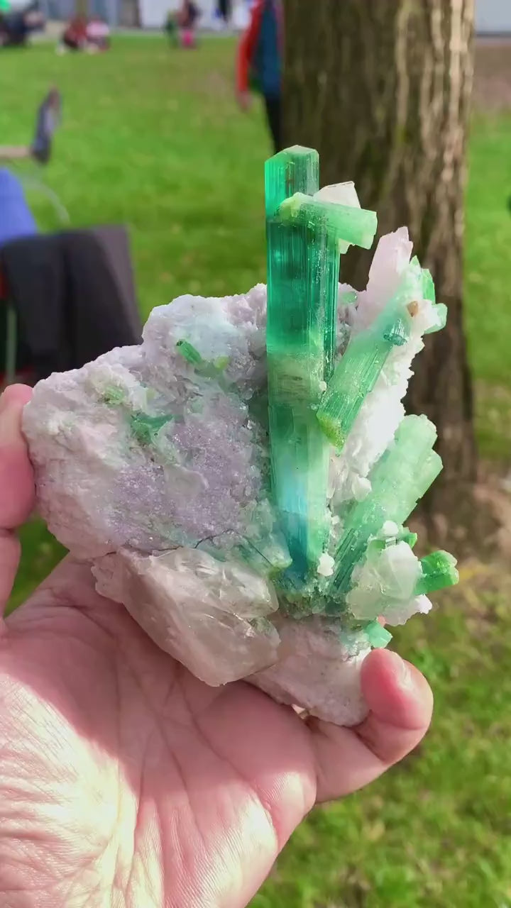Blue Green Tourmaline Crystals with Kunzite, Microlite and Lepidolite on Matrix Mineral Specimen from Dara e Pech Afghanistan - 445 gram