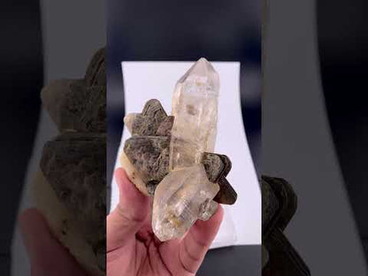 Clear Quartz Crystal With Star Mica From Pakistan - 229 Grams