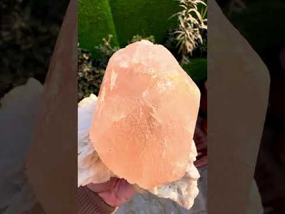 Morganite with Mica and Albite from Afghanistan, 699 gram