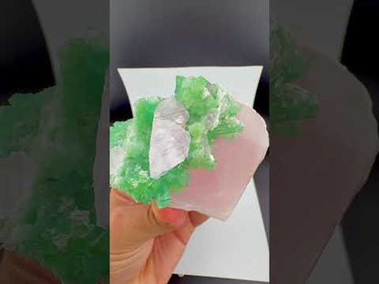 Natural Pink Morganite with Lilac Kunzite and Green Tourmaline Cluster from Afghanistan, 291 gram