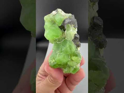 Green Peridot Crystals With Magnetite From Pakistan - 97 Grams